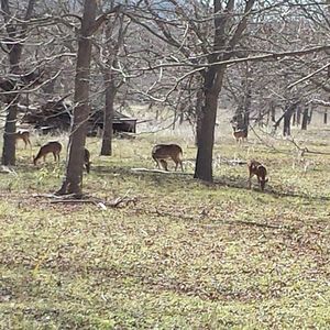 Meet your Posher, Mattie